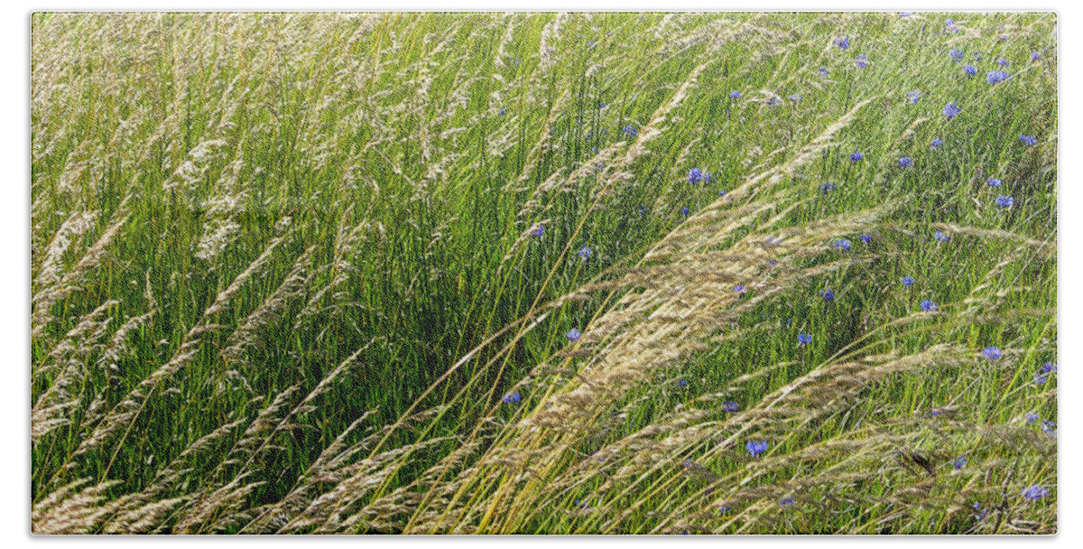 Grass Beach Towel featuring the photograph Leaves of Grass by Mike Penney