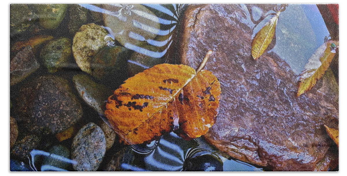 Leaves Beach Towel featuring the photograph Leaves Rocks Shadows by Bill Owen