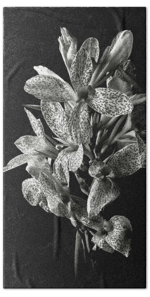 Flower Beach Towel featuring the photograph Leopard Lily in Black and White by Endre Balogh