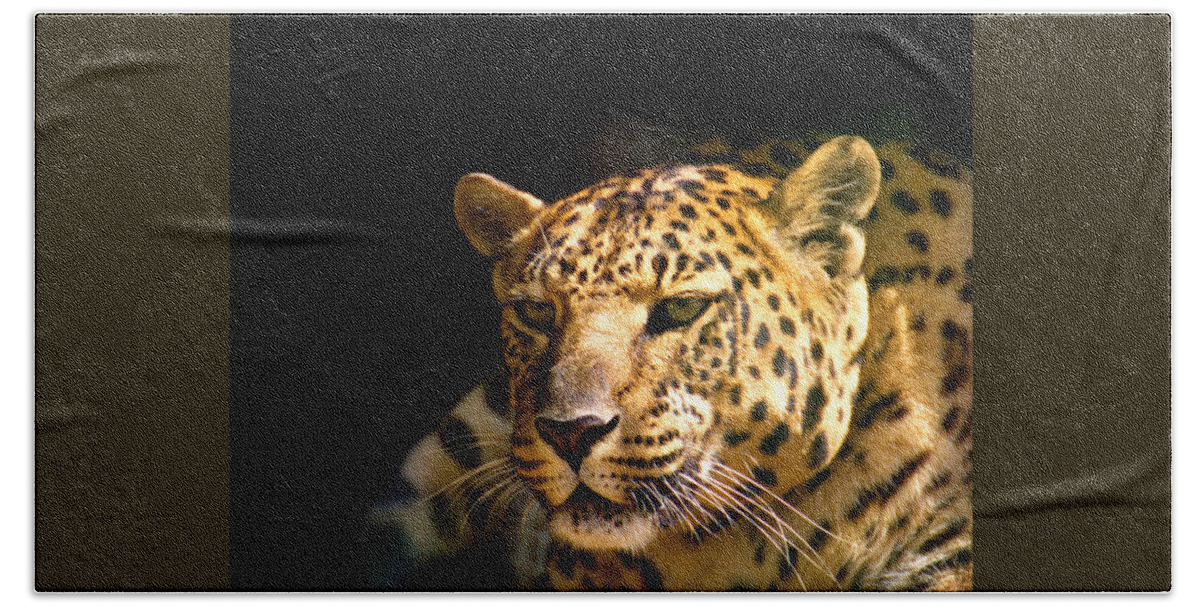 Leopard Beach Towel featuring the photograph Leopard by Suanne Forster