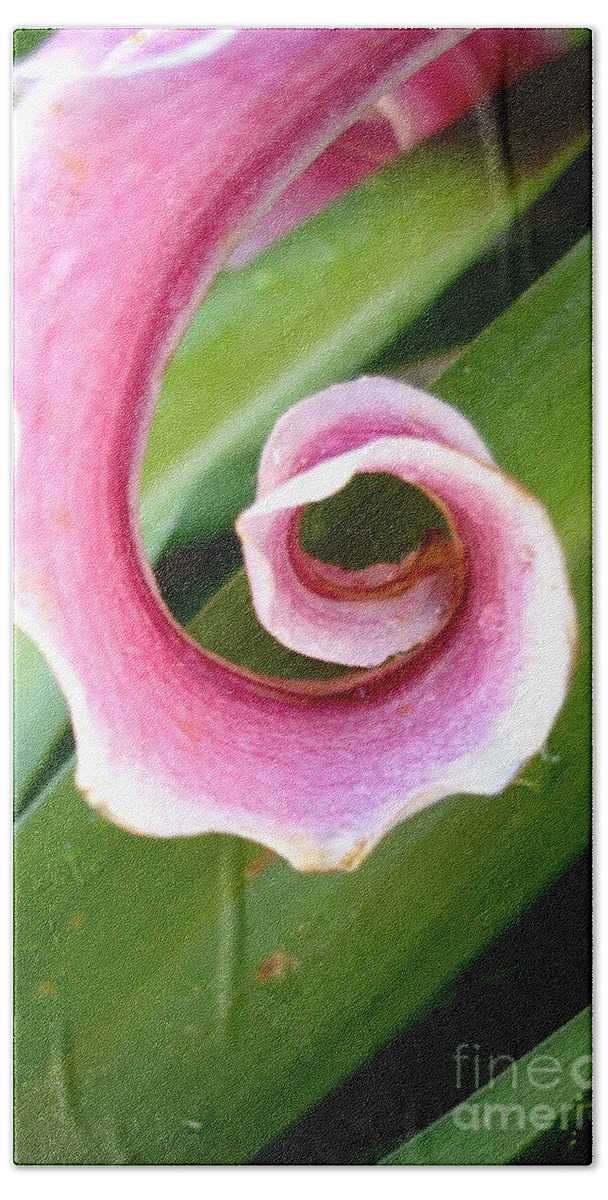 Lily Beach Towel featuring the photograph Lily Spiral by Kerri Mortenson