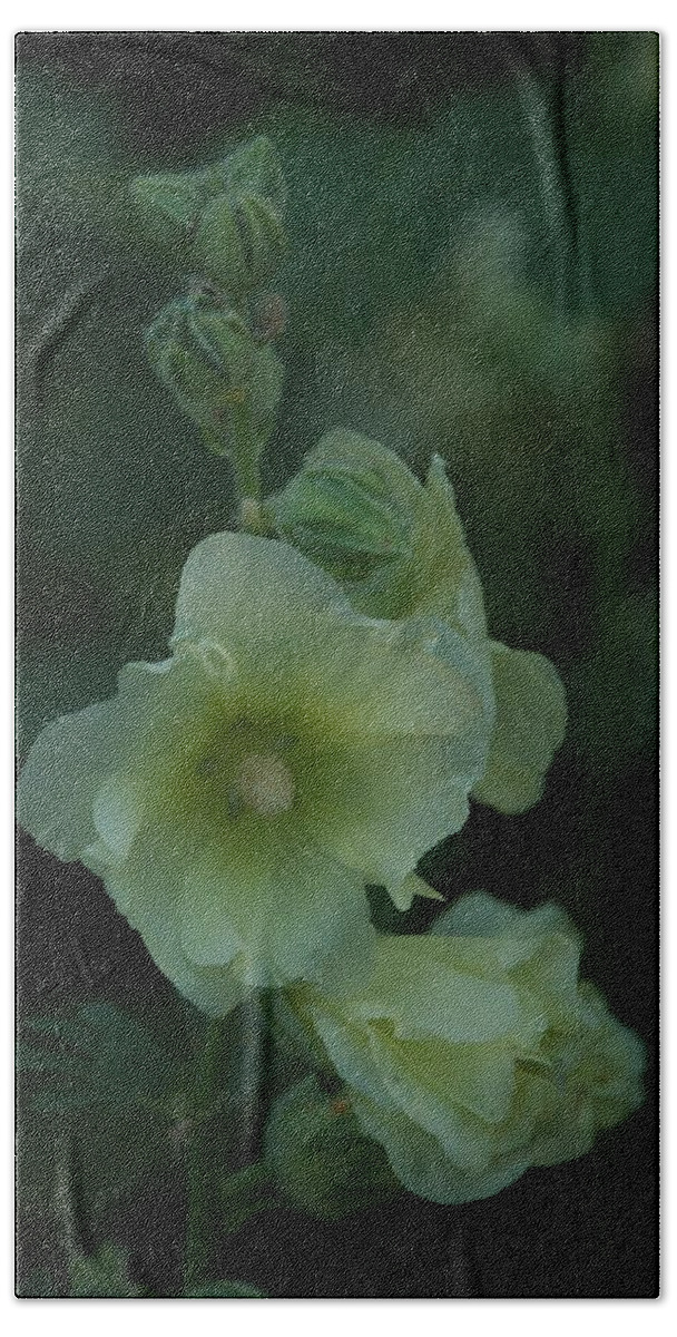 Flower Beach Towel featuring the photograph Lime by Joseph Yarbrough
