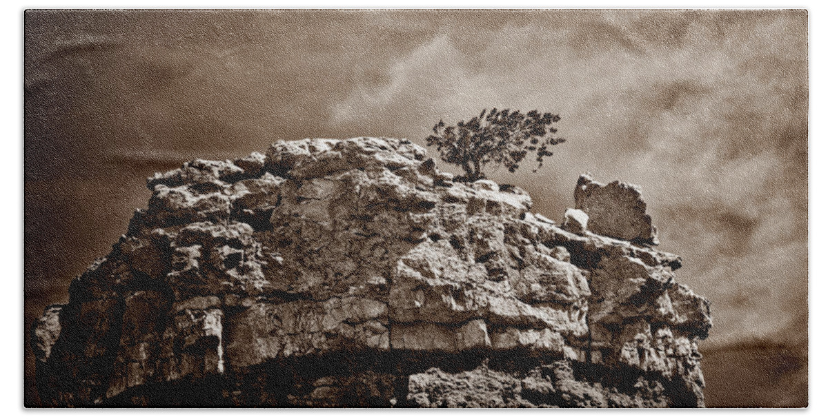 Monochrome Beach Towel featuring the photograph Lofty Solitude - Sepia by Christopher Holmes