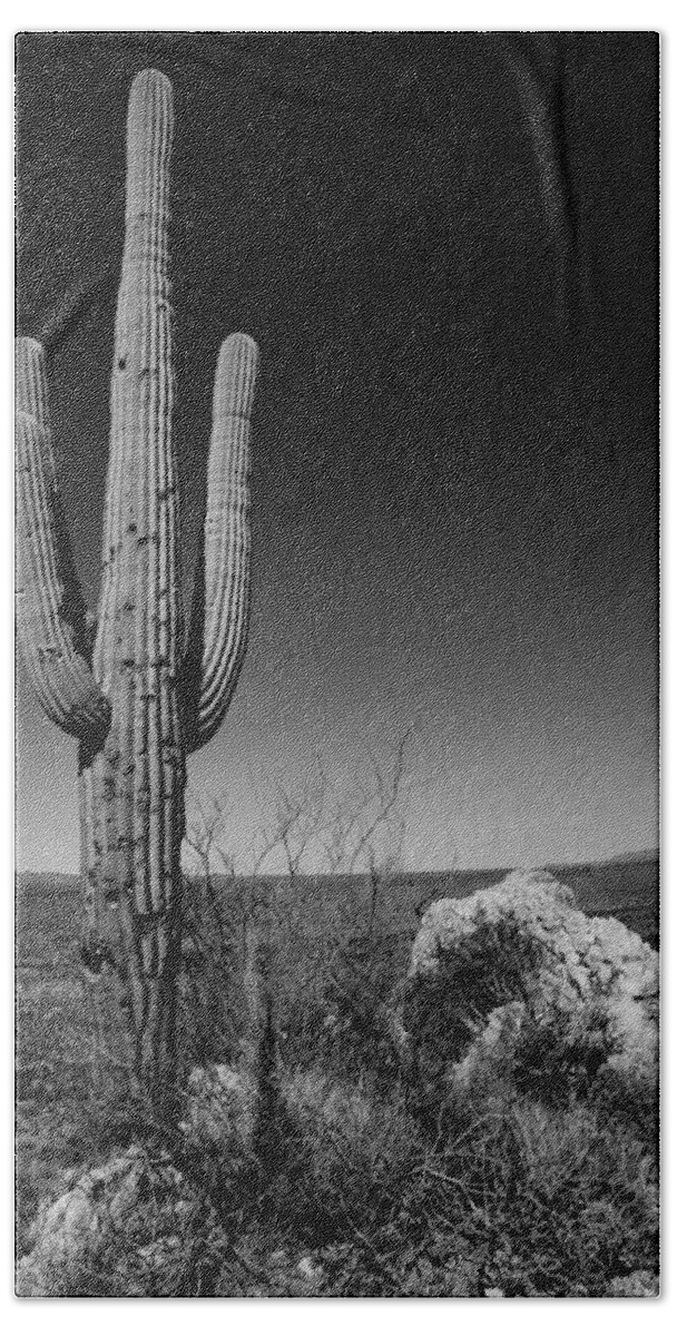 Lone Saguaro Beach Sheet featuring the photograph Lone Saguaro by Chad Dutson