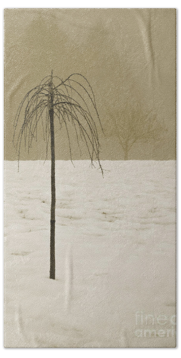 Snow Beach Sheet featuring the photograph Lone Tree and Winter Landscape by David Gordon
