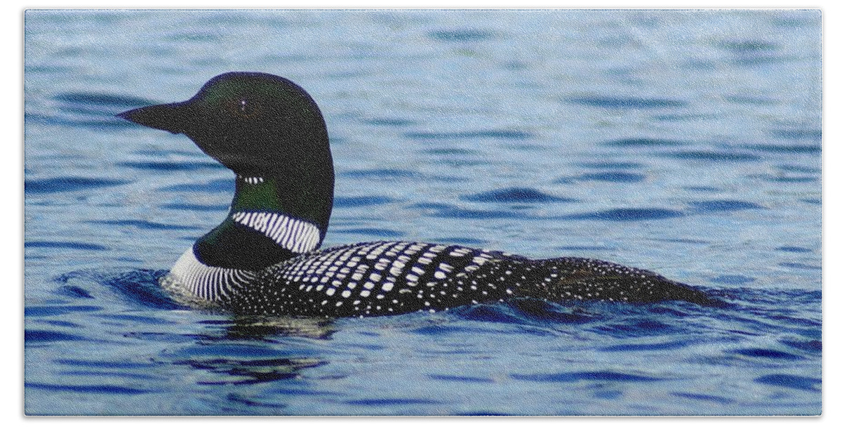 Loon Beach Towel featuring the photograph Loon 5 by Steven Clipperton