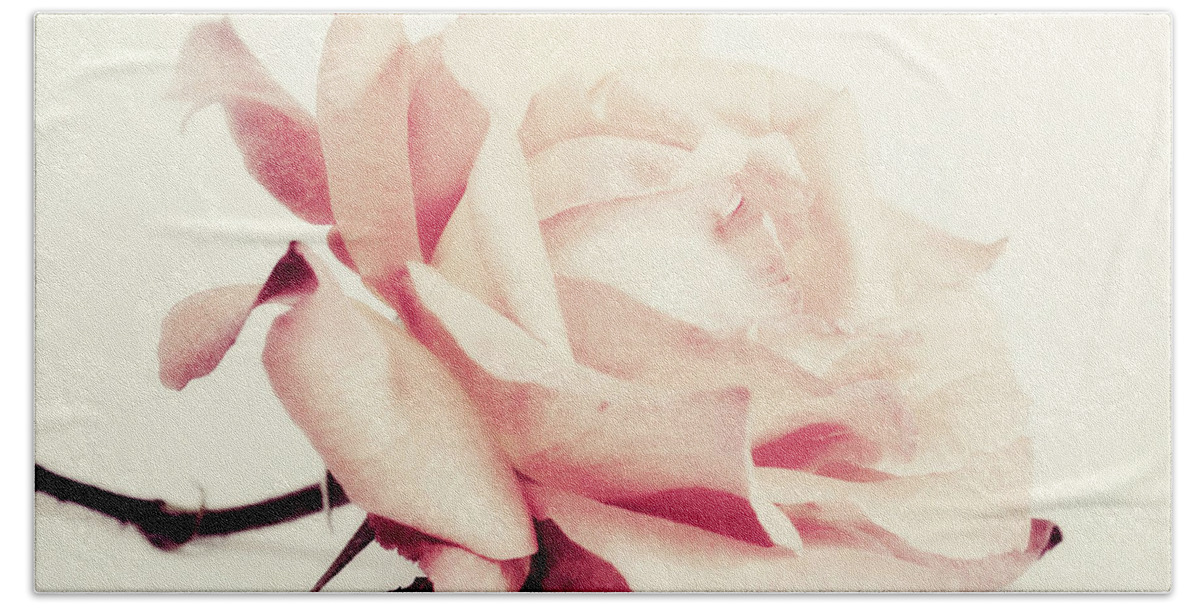 Rose Beach Towel featuring the photograph Lucid by Priska Wettstein
