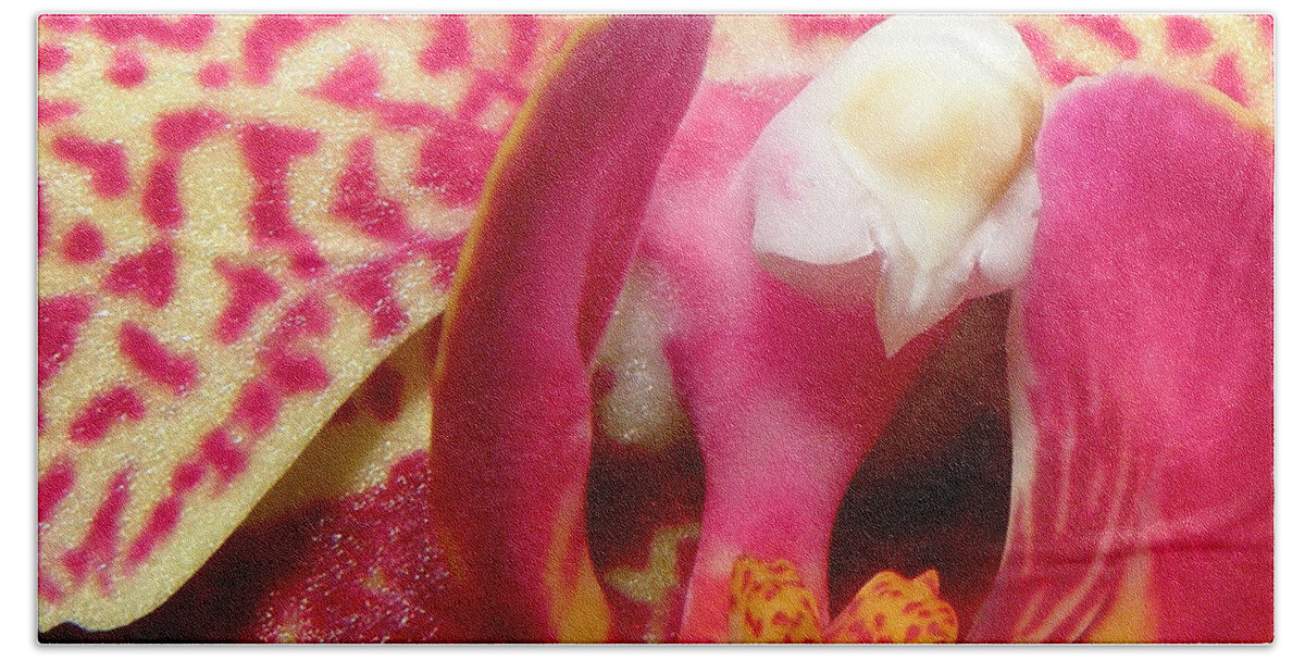 Orchid Beach Towel featuring the photograph Magical Beauty by Kim Galluzzo Wozniak