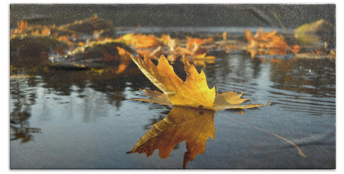Maple Leaf Beach Sheet featuring the photograph Maple Leaf Floating in River by Kent Lorentzen