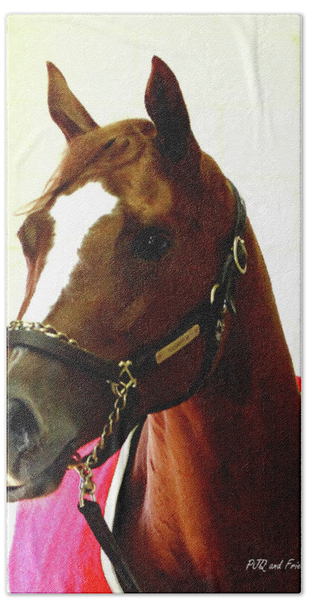 Thoroughbred Race Horse Beach Towel featuring the photograph 'Marigo in Red' by PJQandFriends Photography