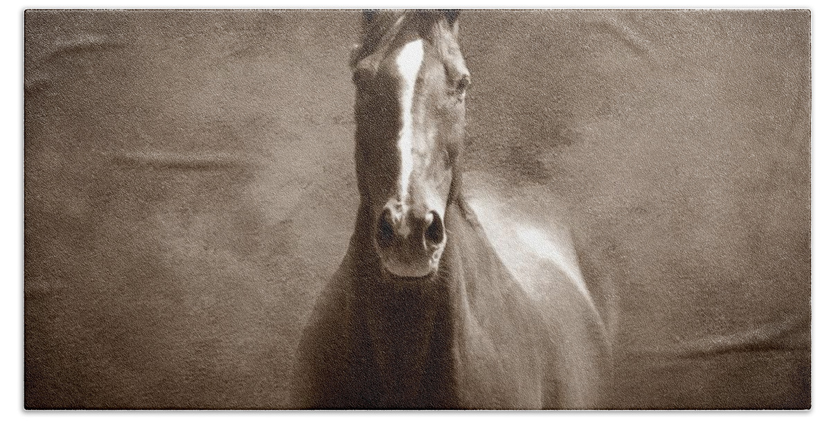 Horse Beach Sheet featuring the photograph Misty in the Moonlight S by David Dehner