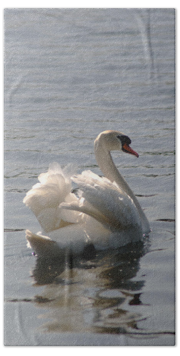 Swan Beach Sheet featuring the photograph Mute Swan by Chris Day