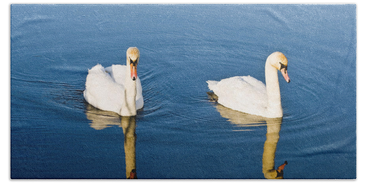 Swan Beach Towel featuring the photograph Muted by Rob Hemphill