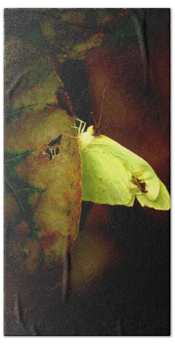 Insect Beach Towel featuring the photograph Mystical World by David Weeks