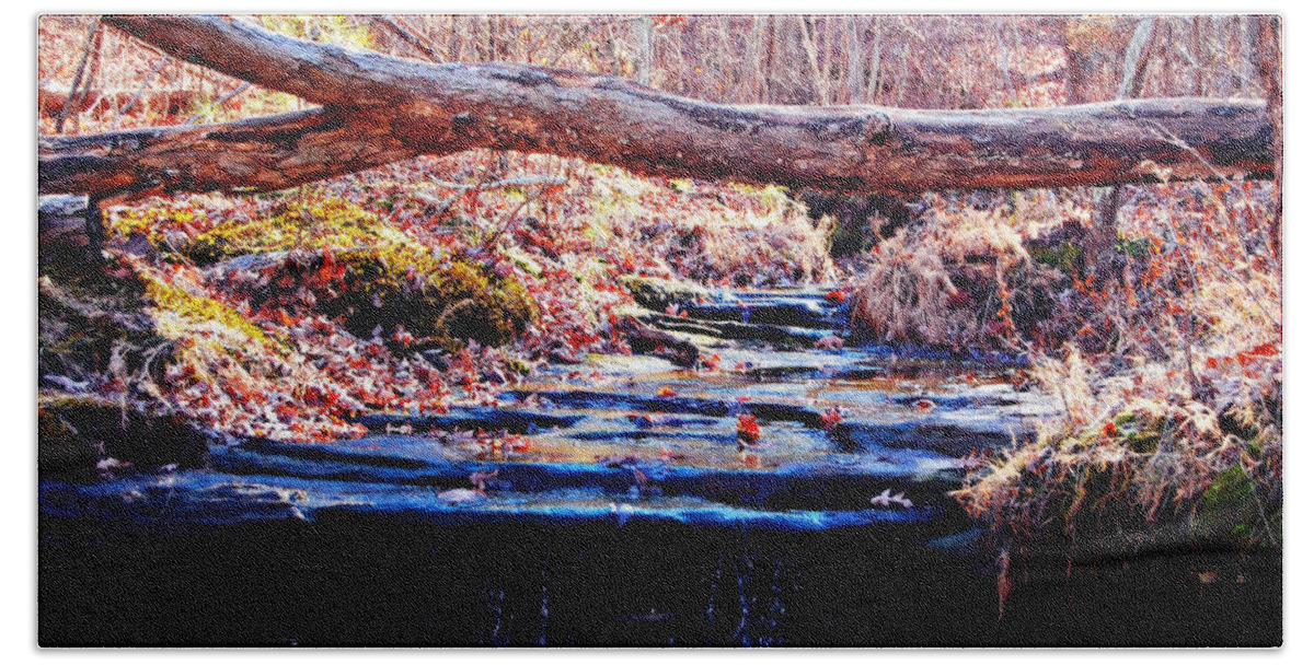 Landscape Beach Sheet featuring the photograph Natural Spring Beauty by Peggy Franz