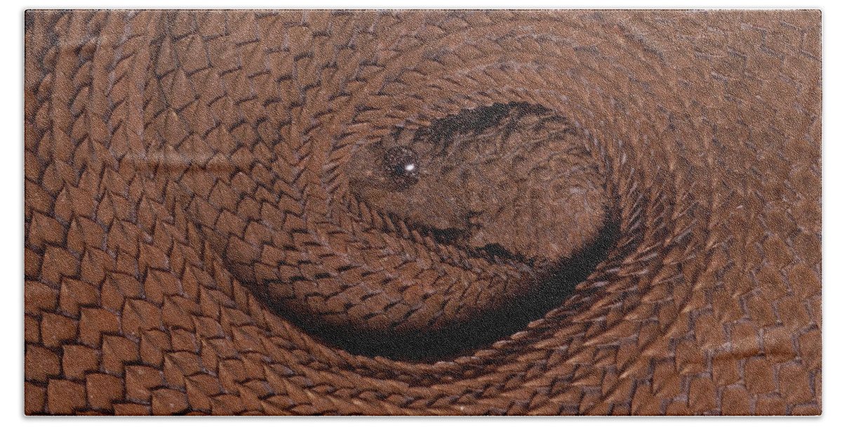 Mp Beach Towel featuring the photograph Northern Eyelash Boa Trachyboa by Pete Oxford