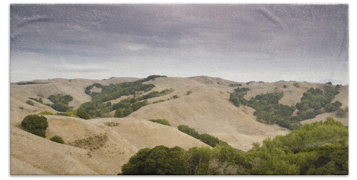 00465717 Beach Towel featuring the photograph Oak Trees On Hillsides Briones Regional by Sebastian Kennerknecht