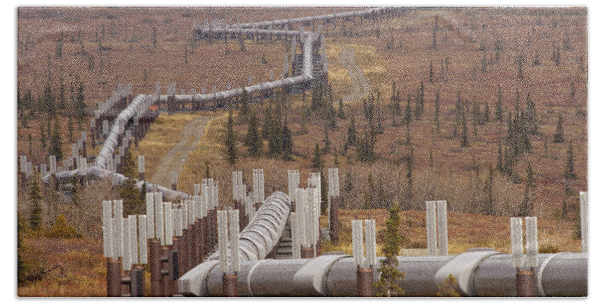 Mp Beach Towel featuring the photograph Oil Pipeline Crossing Taiga, Alaska by Gerry Ellis