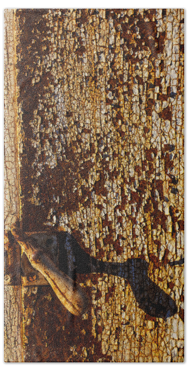 Old Beach Towel featuring the photograph Old rusty door by Garry Gay