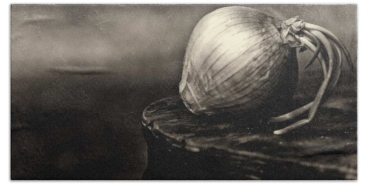 Da*55 1.4 Beach Sheet featuring the photograph Onion by Lori Coleman