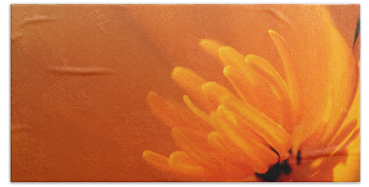 Flower Beach Towel featuring the photograph Orange Poppy by Marie Jamieson