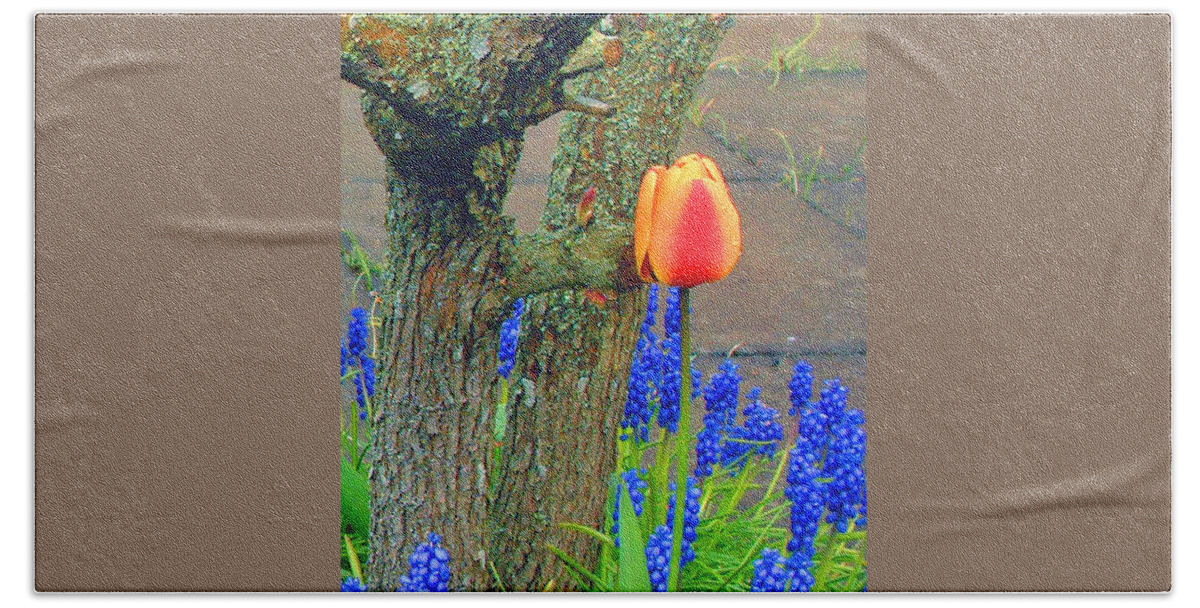 Tulip Beach Sheet featuring the photograph Orange Tulip and Bluebells by Richard James Digance