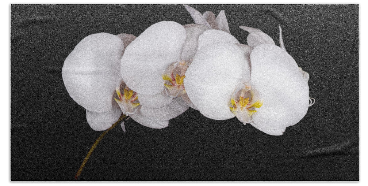 Flower Beach Towel featuring the photograph Orchid 001 by Larry Carr