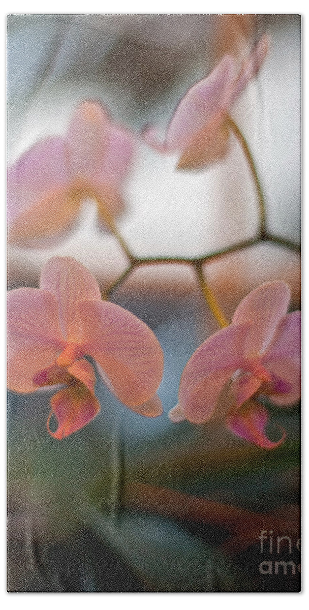 Orchid Beach Towel featuring the photograph Orchid Gathering by Mike Reid