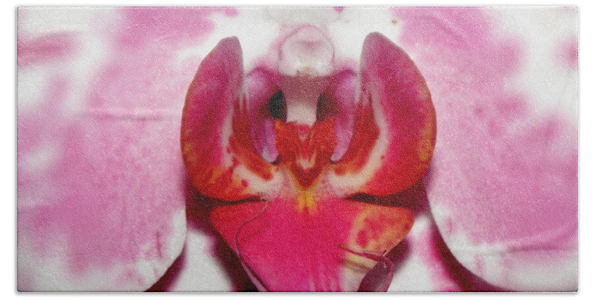Orchid Beach Towel featuring the photograph Orchid Glow by Kim Galluzzo
