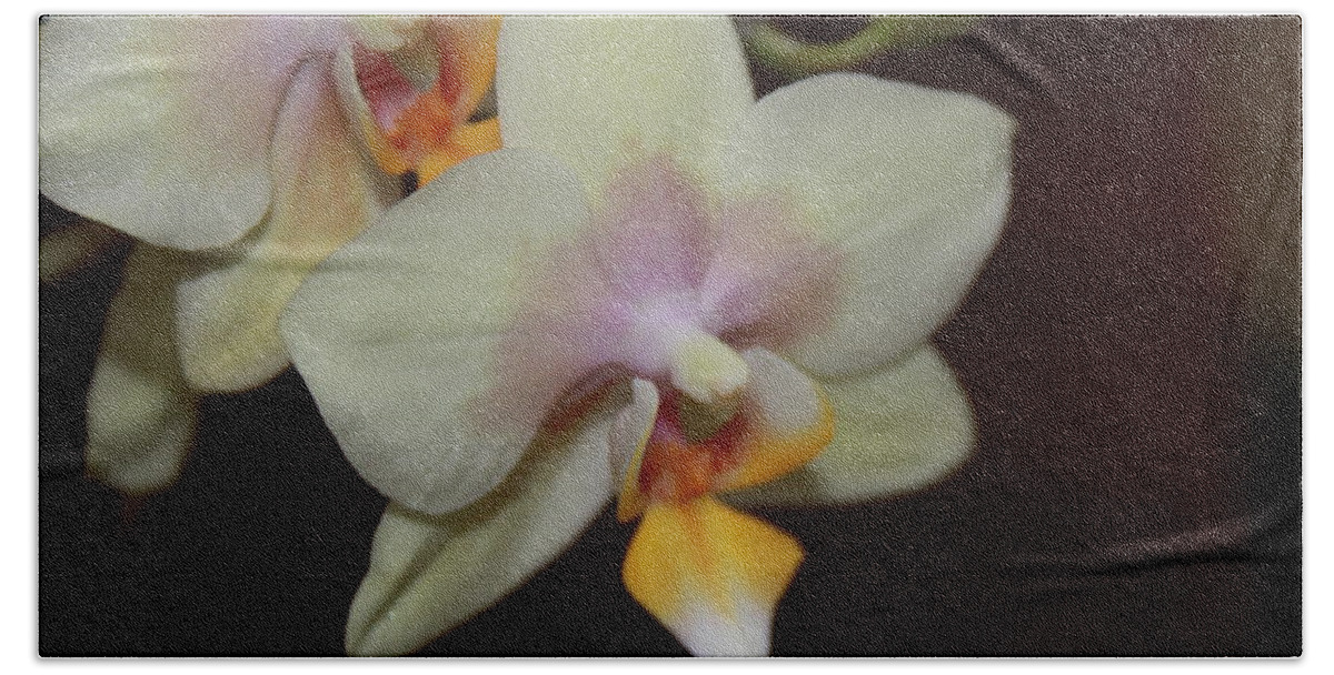 Art Beach Towel featuring the photograph Orchid I by Kelly Hazel
