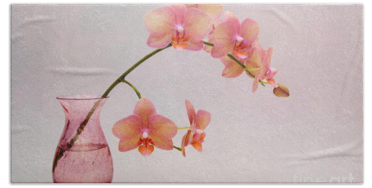 Orchid Beach Towel featuring the photograph Orchids in a Pink Vase by Ann Garrett