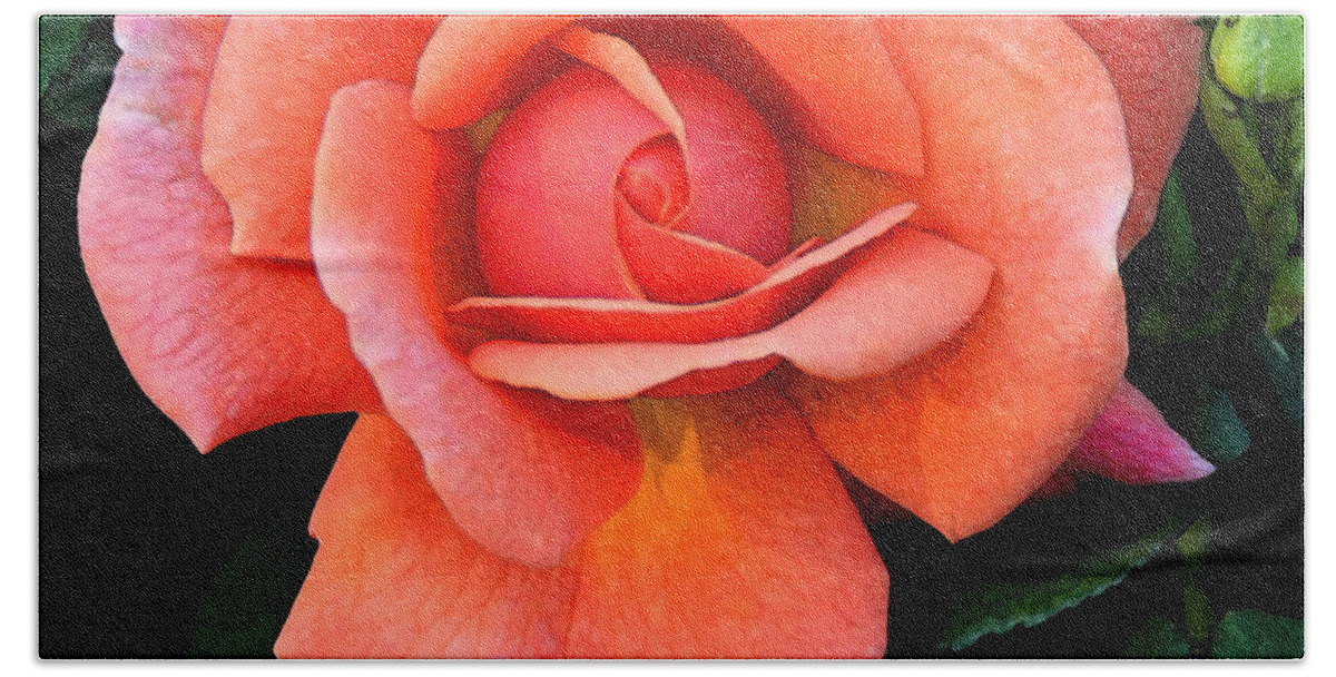 Flora Beach Sheet featuring the photograph Painted Rose by Cindy Manero