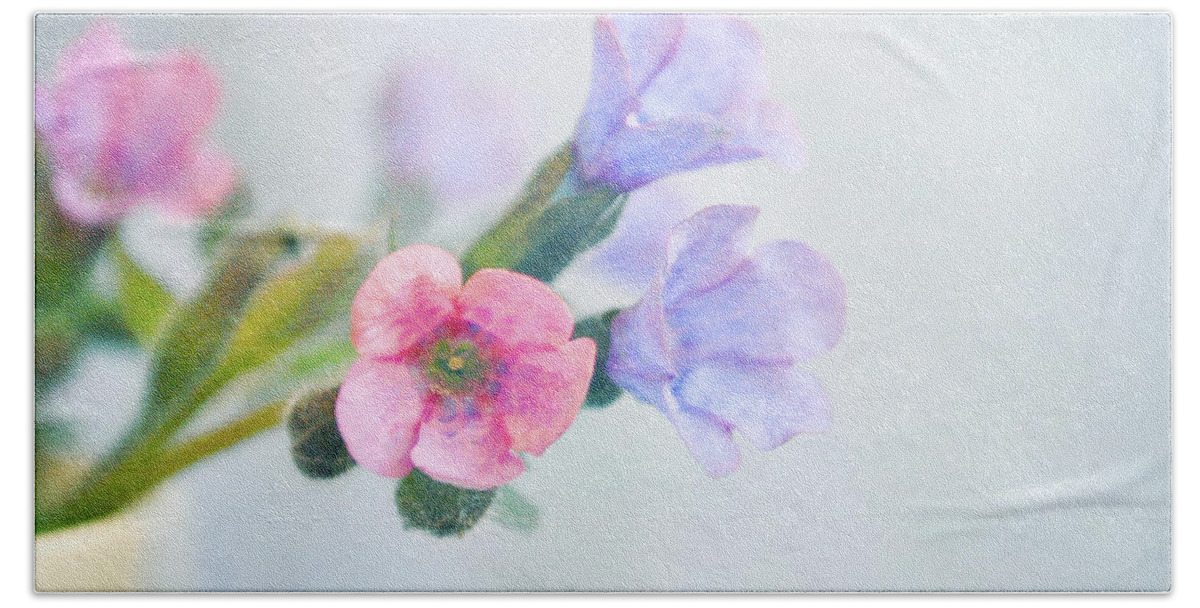 Flowers Beach Sheet featuring the photograph Pale pink and purple Pulmonaria flowers by Lyn Randle