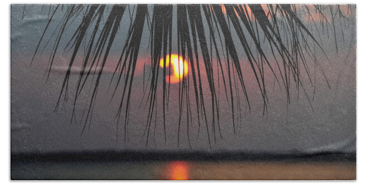 Fine Art Photography Beach Towel featuring the photograph Palm Set by David Lee Thompson
