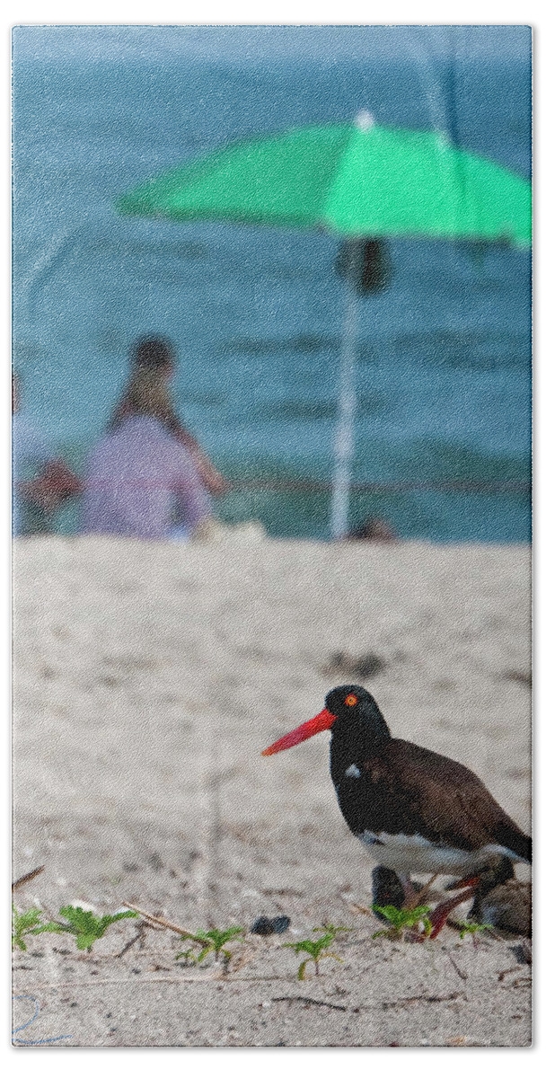 Oyster Catcher Beach Towel featuring the photograph Parenting on a Beach by S Paul Sahm