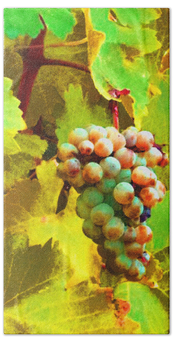 Ed Paschke Beach Towel featuring the photograph Paschke Grapes by Kathy Corday