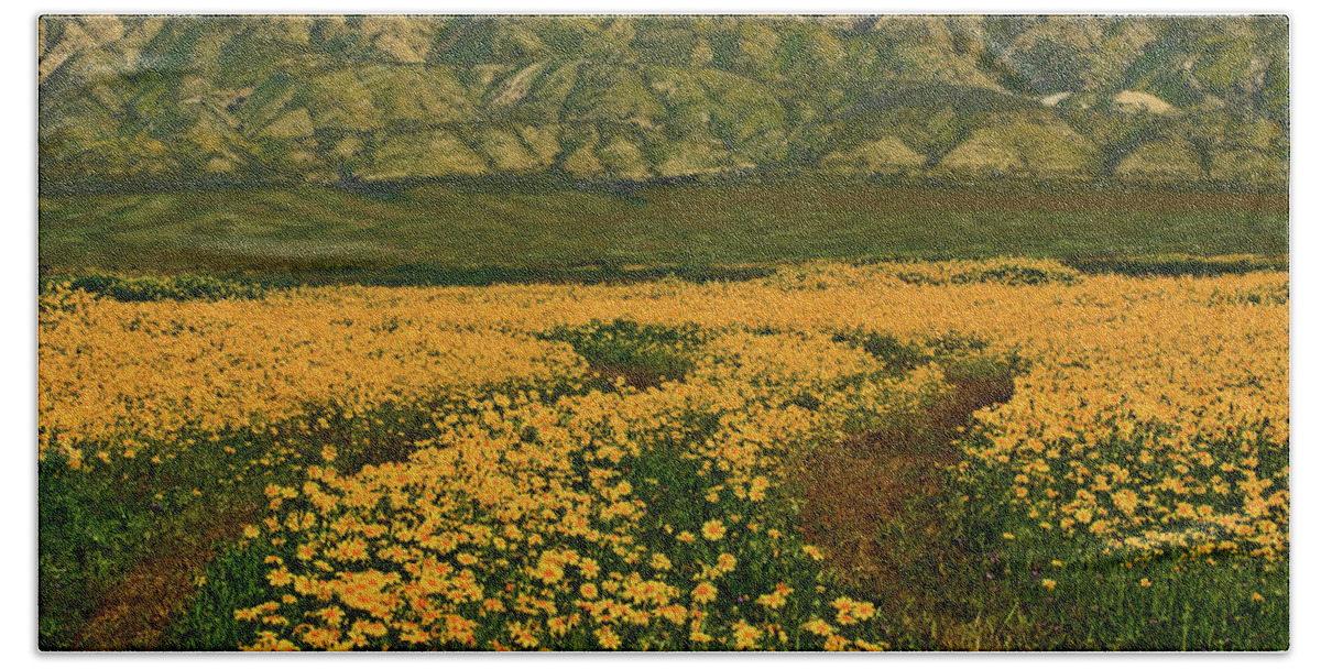 Wildflowers Beach Towel featuring the photograph Path through the Wildflowers by Beth Sargent
