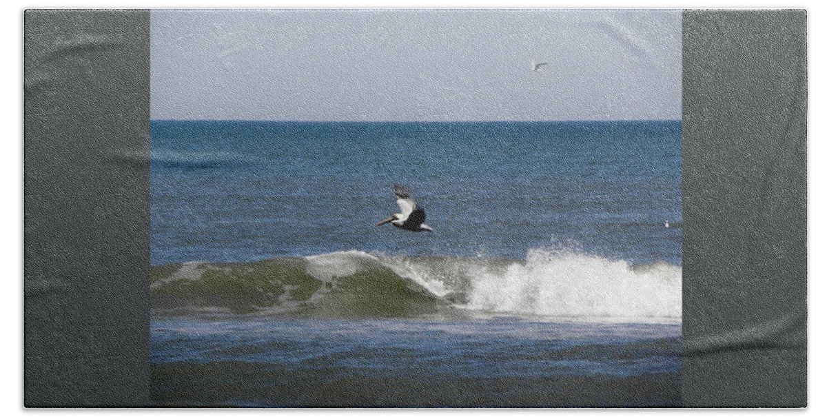 Pelican Beach Towel featuring the photograph Pelican Wave Surfer by Kim Galluzzo Wozniak