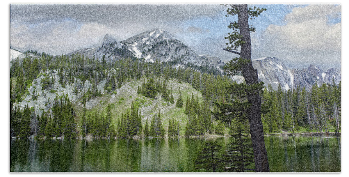 00176885 Beach Towel featuring the photograph Pine Trees Reflected In Fairy Lake by Tim Fitzharris