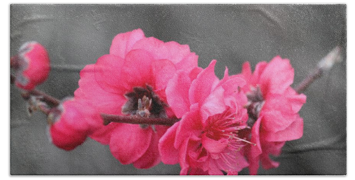 Flowers Beach Towel featuring the photograph Pink Blossoms by Amy Gallagher