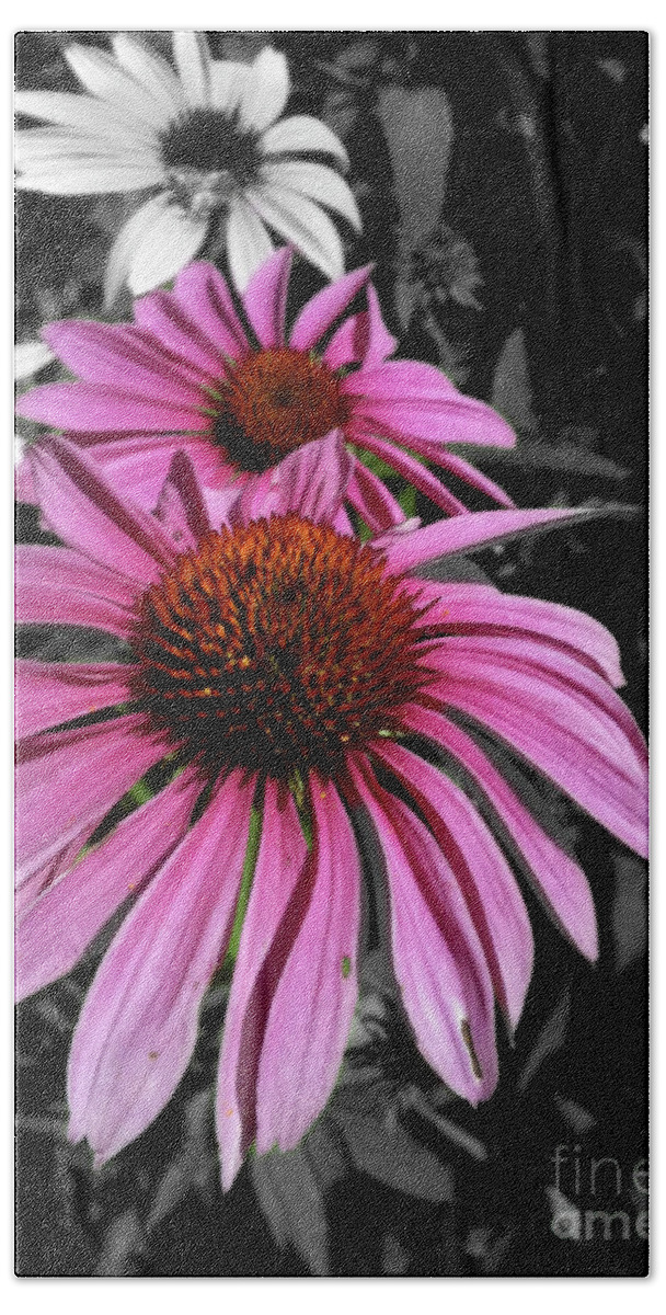 Coneflower Beach Towel featuring the photograph Pink Cutout by Trish Hale