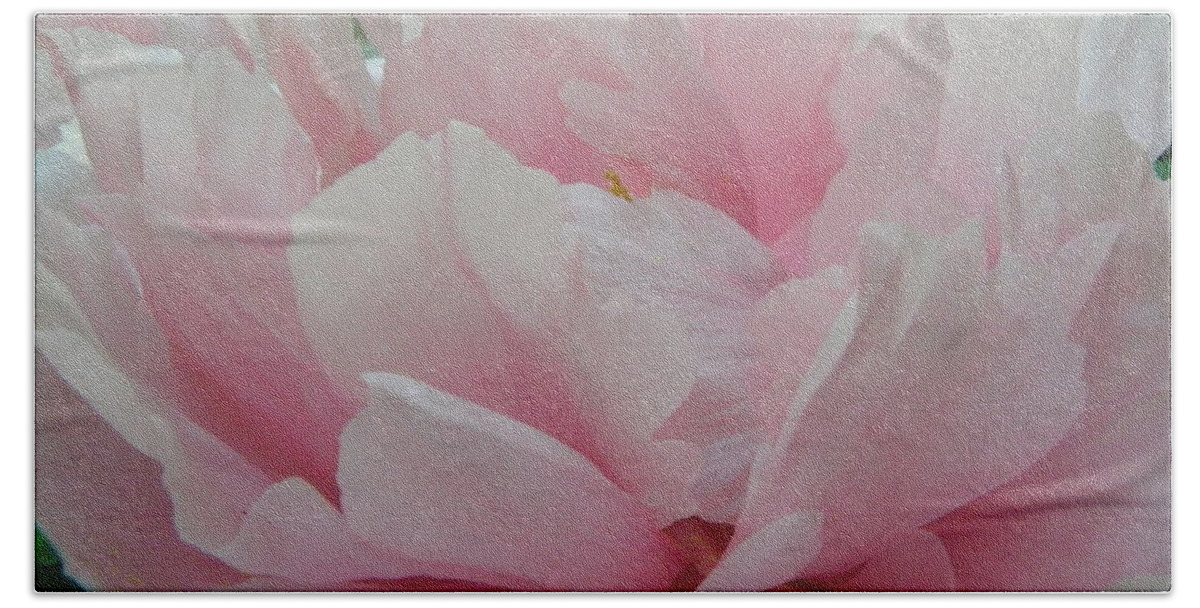 Pink Beach Towel featuring the photograph Pink Peony by Kim Galluzzo