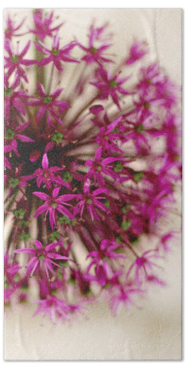 Flora Beach Towel featuring the photograph Pink Puff by Tatiana Fess