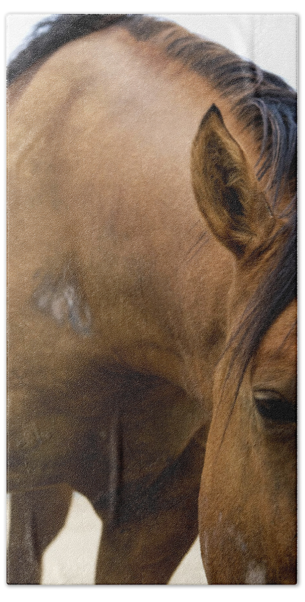 Pony Beach Towel featuring the photograph Curious Pony by Lorraine Devon Wilke