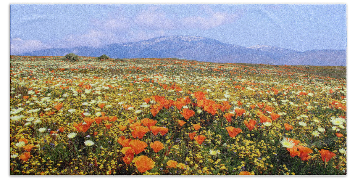 Antelope Valley Beach Towel featuring the photograph Poppies over the Mountain by Peter Tellone