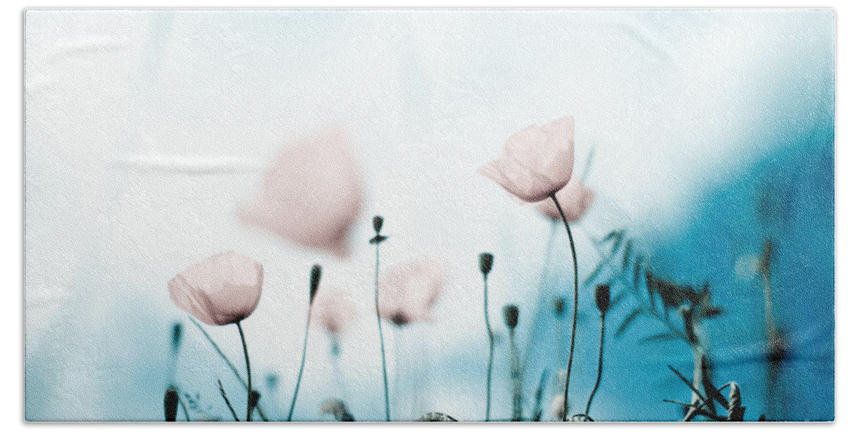 Poppy Beach Towel featuring the photograph Poppy Flowers 11 by Nailia Schwarz