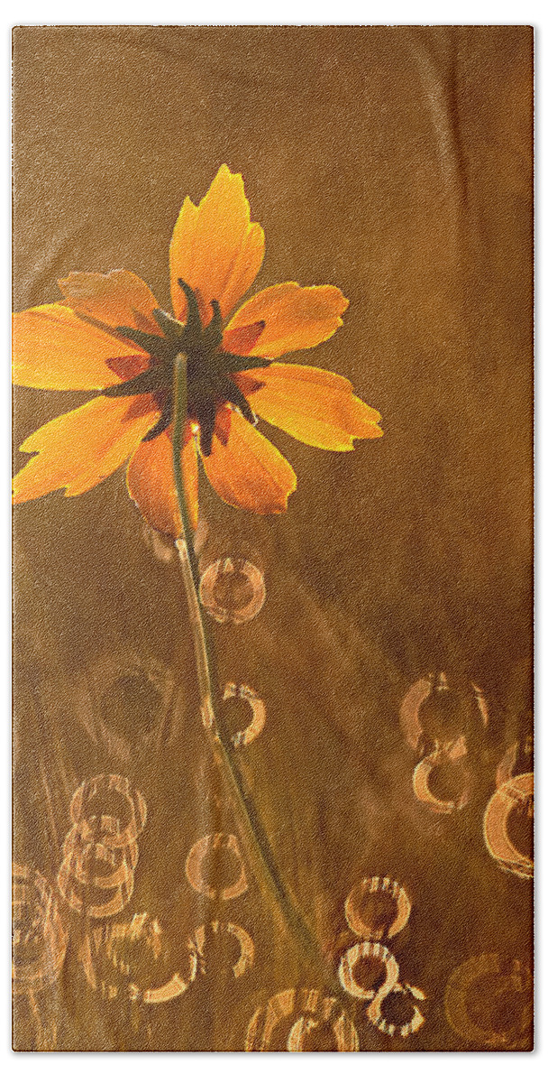 2012 Beach Towel featuring the photograph Prairie Coreopsis and Dewdrops by Robert Charity