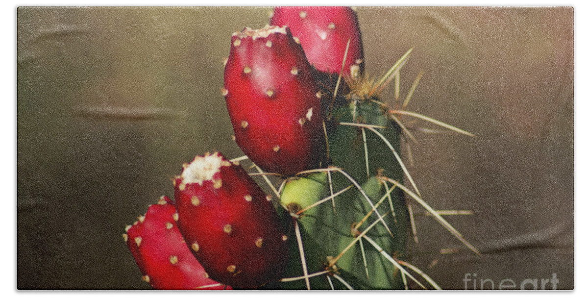 Cactus Beach Towel featuring the photograph Prickley Pear Fruit by Donna Greene