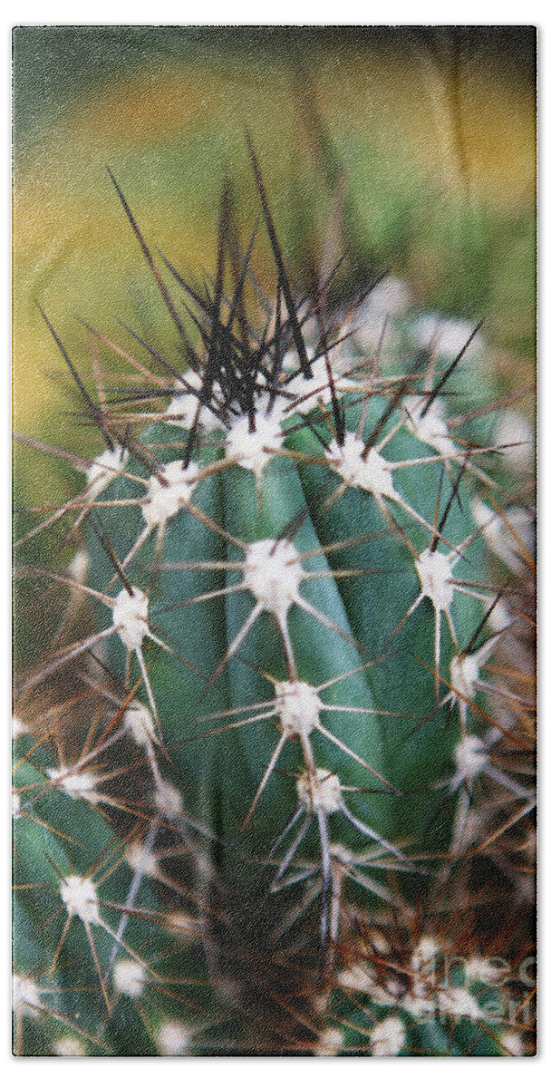 Cactus Beach Towel featuring the photograph Prickly by Leslie Leda