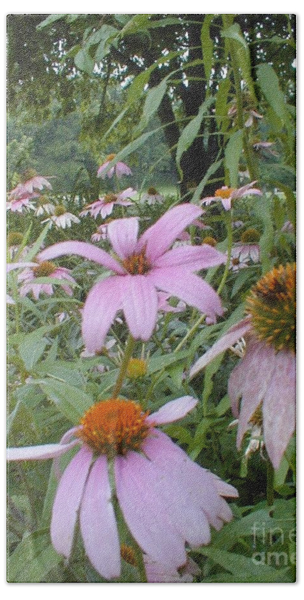 Flowers Beach Towel featuring the photograph Purple Coneflowers by Vonda Lawson-Rosa